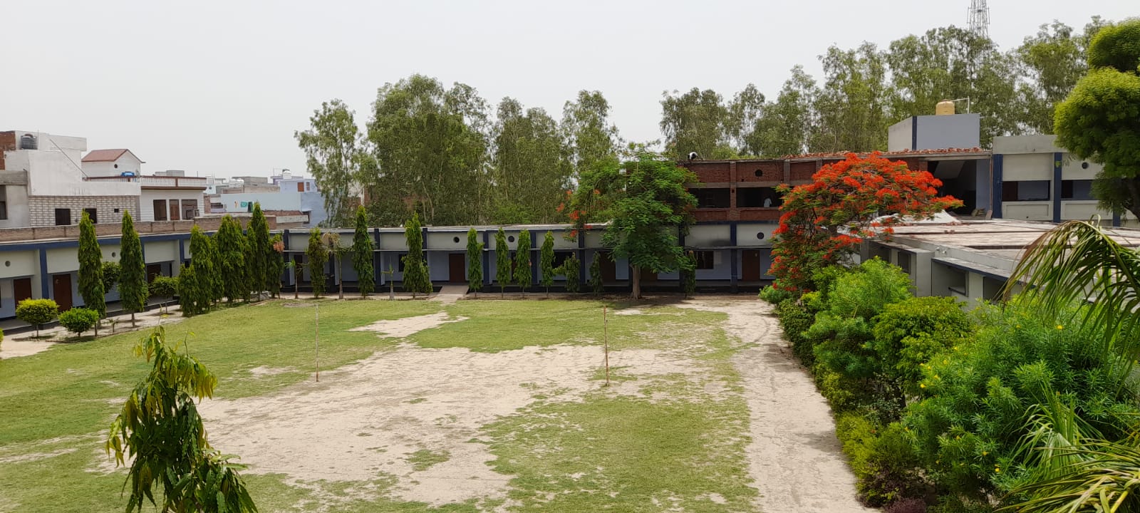 School Field